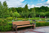 Beautiful summer park with bench.