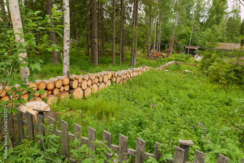 Holzzaun aus abgesägten Baumstämmen an einem verwilderten Grundstück am Waldesrand. Gesehen auf dem Pilgerweg Olavsweg kurz vor Hamar in Norwegen, Provinz Innlandet.