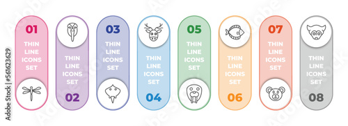 animals infographic element with outline icons and 8 step or option. animals icons such as dragonflay, albotros, ray, moose, walrus, flounder, bear, siberian husky vector.