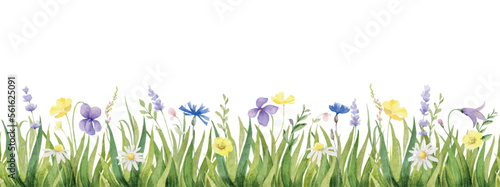 Watercolor vector seamless border with green grass and wildflowers.