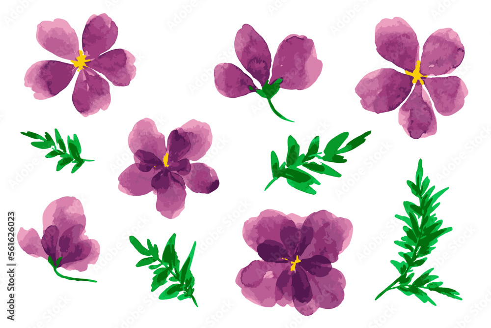 Drawn watercolor purple flowers. Clip art. Texture. Vector watercolor flower. Decor set. Spring. Autumn. Holidays. Floristics. Flowers set. Violet. 