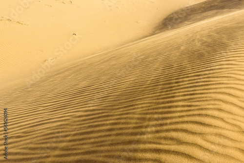 Ripple marks on a dune of Maranjab Desert in Iran