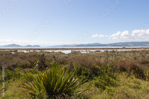 Picturesque landscape with bush, sea and mountains on background in a sunny day, Duder Regional Park, Auckland city, New Zealand.