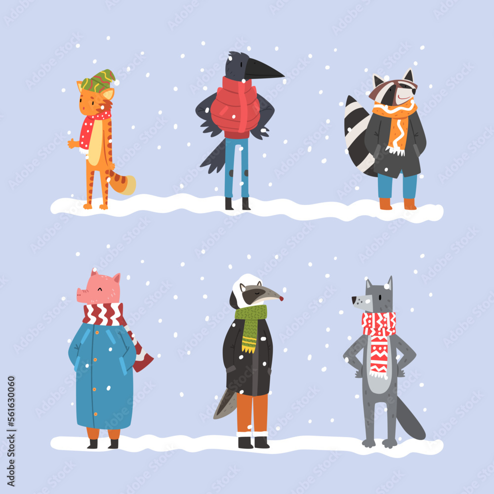 Fototapeta premium Set animals in warm winter clothes. Cat, raven, raccoon, pig, badger, wolf, walking outdoors in cold weather cartoon vector