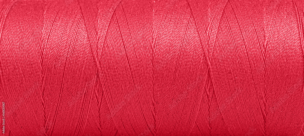 Fototapeta premium Texture of threads in a spool of red color on a white background