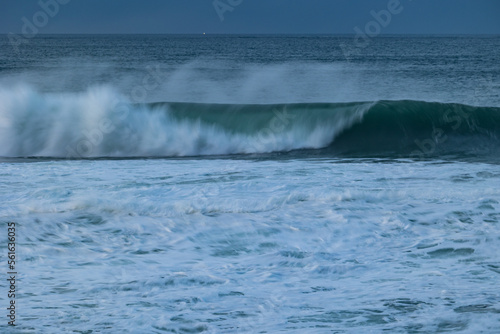 An afternoon on the Cantabrian coast with landscapes, fauna and waves! © AGUS