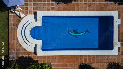 summer by the pool aerial dorne photo