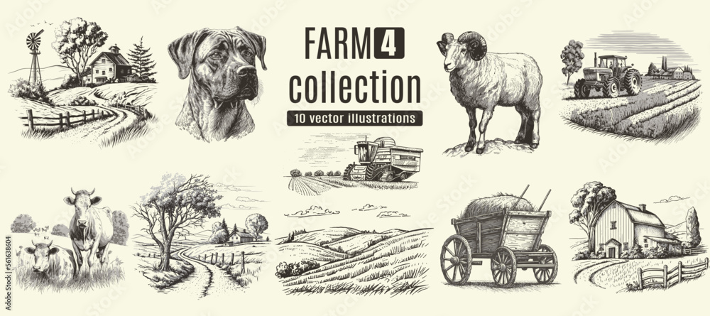 Rural meadow or countryside farm set. A village landscape with cows ...