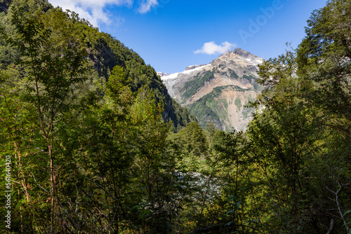 Picturesque view while hiking to the Glaciar Ventisquero Yelcho in Patagonia  Chile 