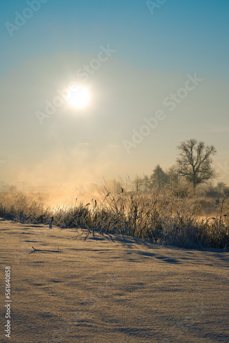 Winter wonderland. White winter landscape. Snow-covered countryside.