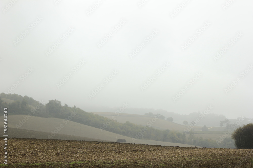 Fototapeta premium nebbia