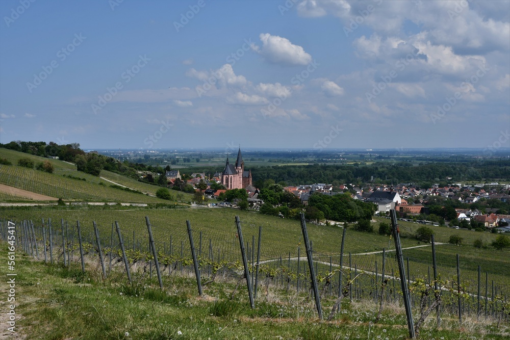 Blick auf die Katharinenkirche und Häuser mit Landschaften in Oppenheim am Rhein