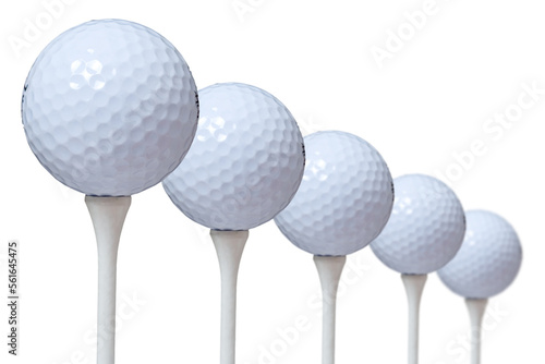 A closeup of five golf balls on a tees. white background.