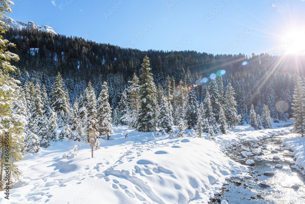 Stream running through a snowy forested mountain landscape on a sunny winter day. Lens flare.