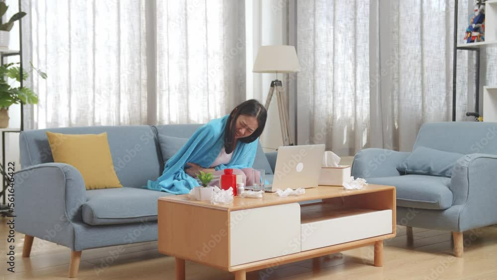 Young Asian Woman Suffering From Abdominal Pain While Sitting On Sofa At Home
Young Asian Woman Suffering From Abdominal Pain While Sitting On Sofa At Home