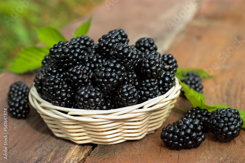 Ripe blackberries in a basket on a wooden background in summer garden.