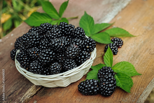 Organic blackberries in a white rattan basket placed on a wooden background.