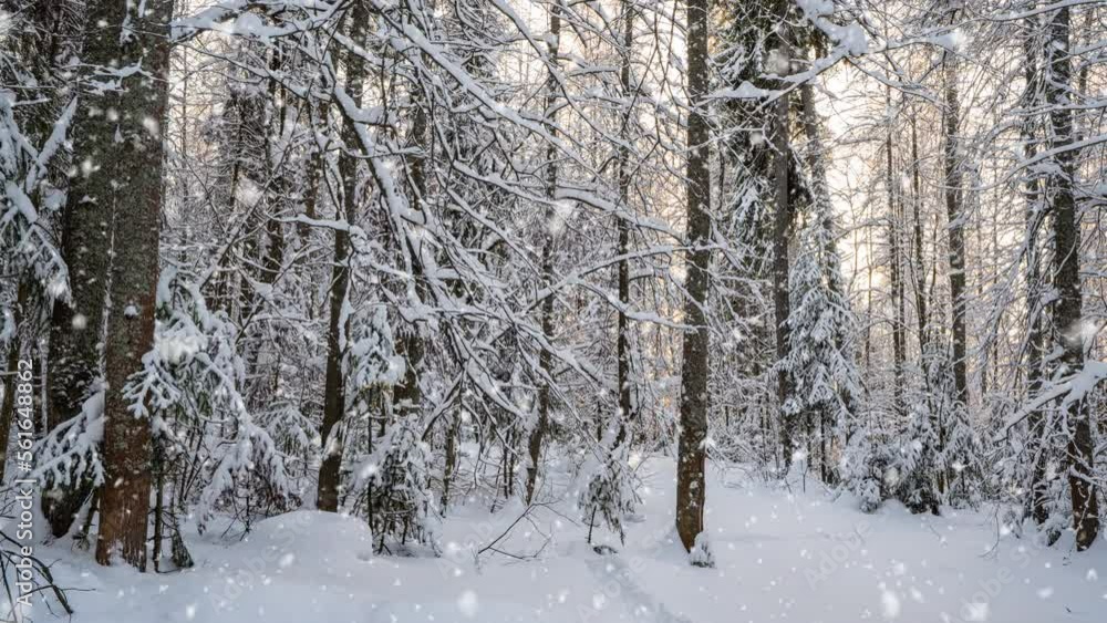 Bright sunny landscape with snow falling snow and a small house in the forest, cinemagraph, video loop Bright sunny landscape with snow falling snow and a small house in the forest, cinemagraph, video loop
