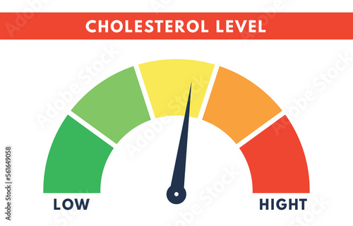 Cholesterol Meter. Level scale of hyperlipidemia. Check of blood. Vector isolated illustration