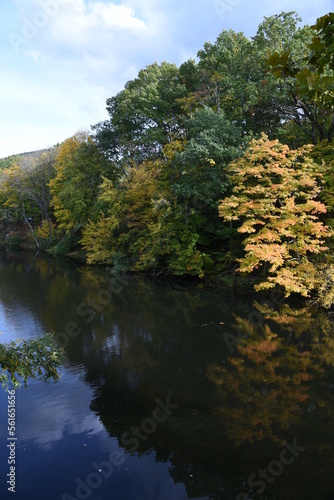 autumn in the park by the river