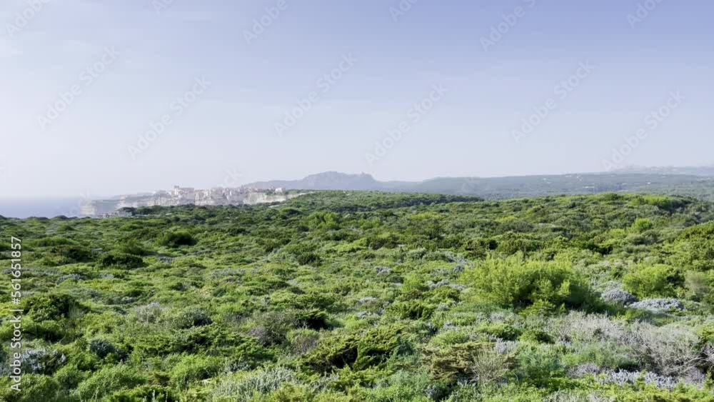 Distant panoramic view of the old and famous fortified city Bonifacio (Corsica, France) and the rocky Mount Trinity mountains, from the lush green Mediterranean vegetation and forest Distant panoramic view of the old and famous fortified city Bonifacio (Corsica, France) and the rocky Mount Trinity mountains, from the lush green Mediterranean vegetation and forest