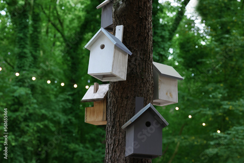 Print op canvas Beautiful wooden birdhouses hanging on tree trunk in forest