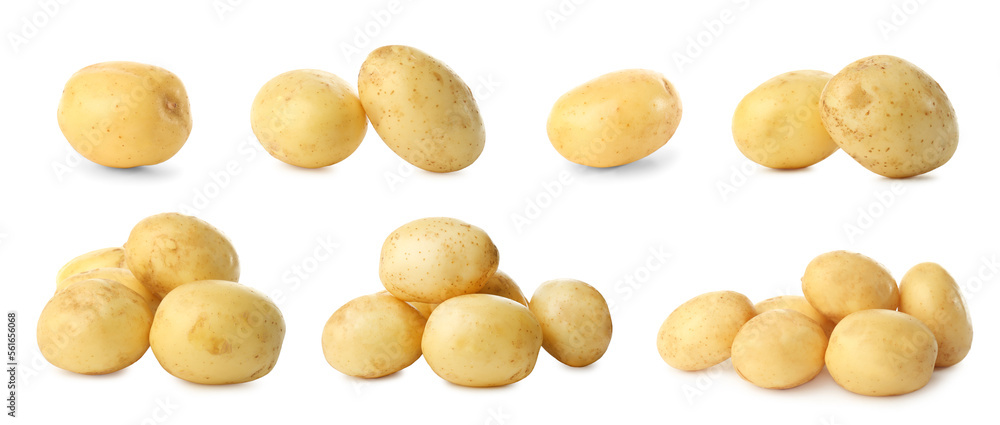 Fototapeta premium Collage with fresh raw potatoes on white background