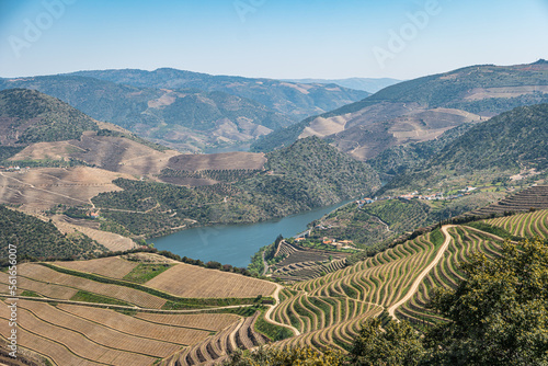 Viewpoint of Vargelas allows to see a vast landscape on the Douro and its man-made slopes. Douro Region, famous Port Wine Region, Portugal. photo