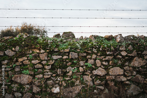 Shot of wall made by stones with vegetation. It has a fence above of it. It is in the country side.