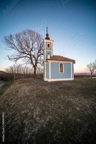 Small chapel with huge tree photo