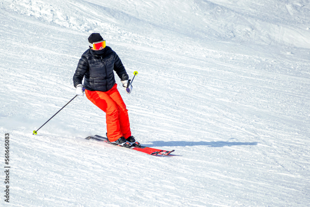 People are having fun in downhill skiing and snowboarding People are having fun in downhill skiing and snowboarding
