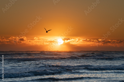 Ocean Sunrise Sunset
