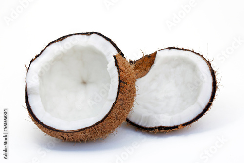 Coconut on white background. Space for text