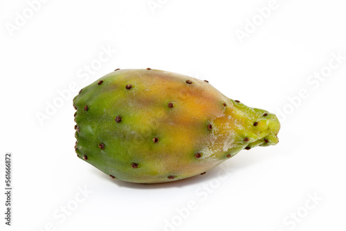 Indian fig opuntia, on white background