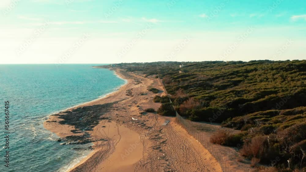 Spiaggia dune di campomarino di maruggio , con acqua cristallina e la pineta ( Taranto , Puglia , Salento , Italy ) dal drone Spiaggia dune di campomarino di maruggio , con acqua cristallina e la pineta ( Taranto , Puglia , Salento , Italy ) dal drone