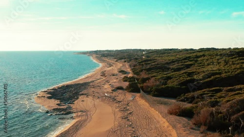 Spiaggia dune di campomarino di maruggio , con acqua cristallina e la pineta ( Taranto , Puglia , Salento , Italy ) dal drone photo