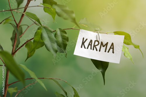 Sheet of paper with word Karma on branch against blurred background © New Africa