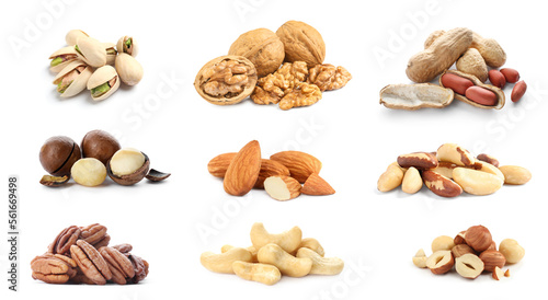 Collage with piles of different nuts on white background. Source of nutrients