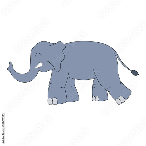 elephant animal is walking tame faced