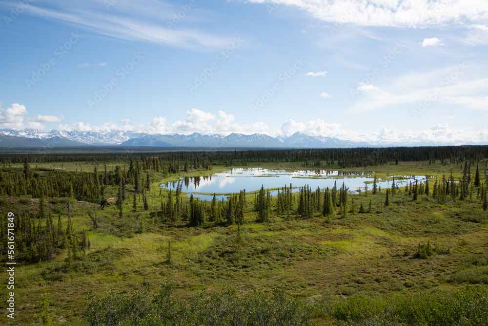 Fototapeta premium mountain range with small pond in alaska 