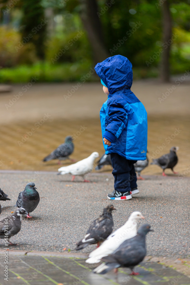 Fototapeta premium Child on a walk in the park