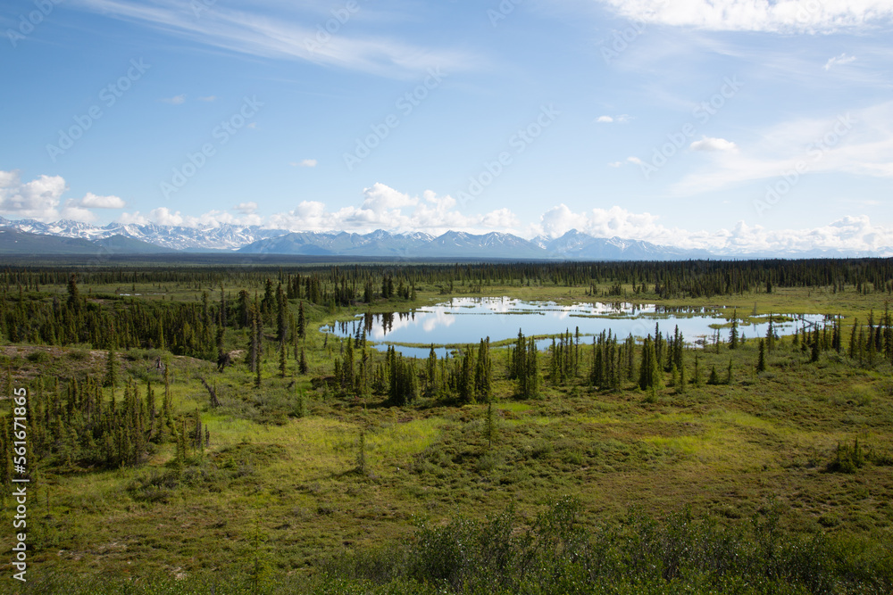 mountain range with small pond in alaska 