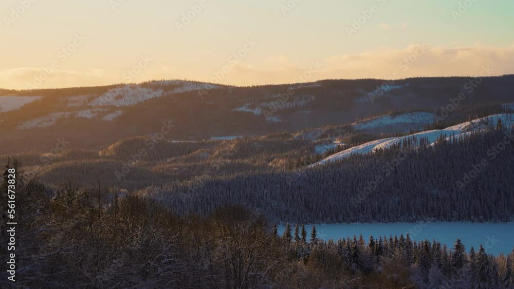 Idyllic forest landscape during cold winter day in Europe in the evening - static wide shot Idyllic forest landscape during cold winter day in Europe in the evening - static wide shot