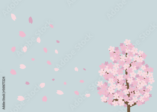桜の木と舞い散る花びらの背景 © karinrin