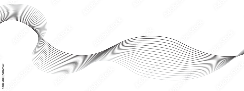 Fototapeta premium Abstract grey lines on white background. Abstract wave white paper background. Vector Illustration 