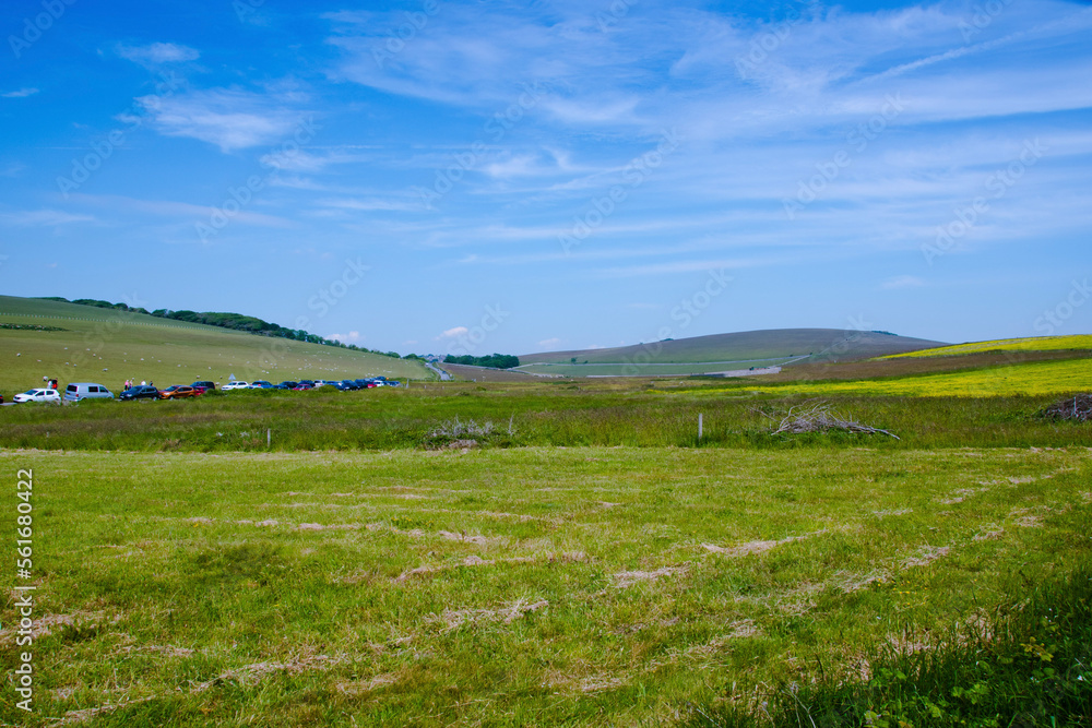 Fototapeta premium field and blue sky