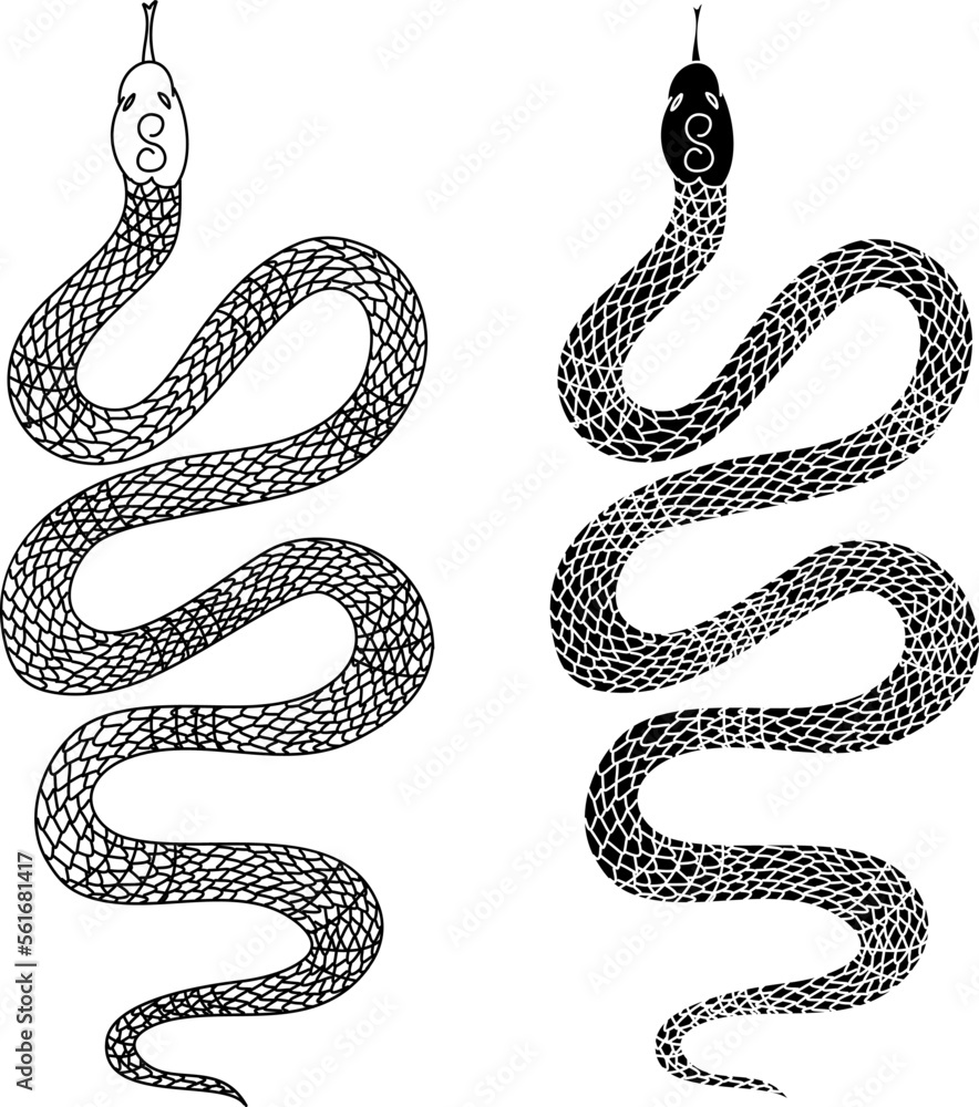 red snake vector.Lampropeltis triangulum vector.Sticker and hand drawn ...