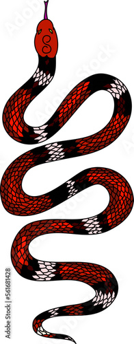 red snake vector.Lampropeltis triangulum vector.Sticker and hand drawn snake for tattoo.Red snake Reptile on white background. photo