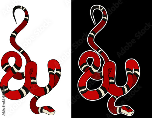 red snake vector.Lampropeltis triangulum vector.Sticker and hand drawn snake for tattoo.Red snake Reptile on white background. photo