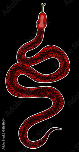 red snake vector.Lampropeltis triangulum vector.Sticker and hand drawn snake for tattoo.Red snake Reptile on white background. photo